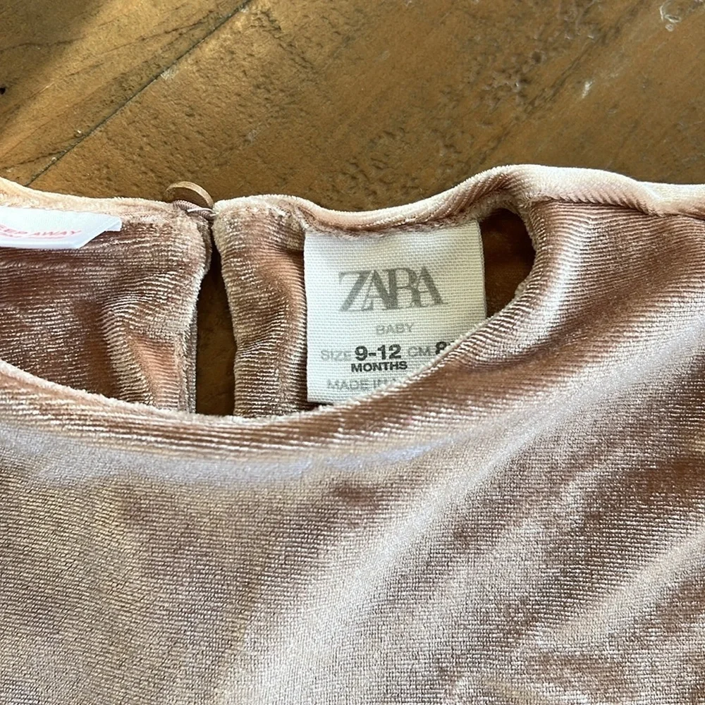 Zara rosy tan velour tulle dress